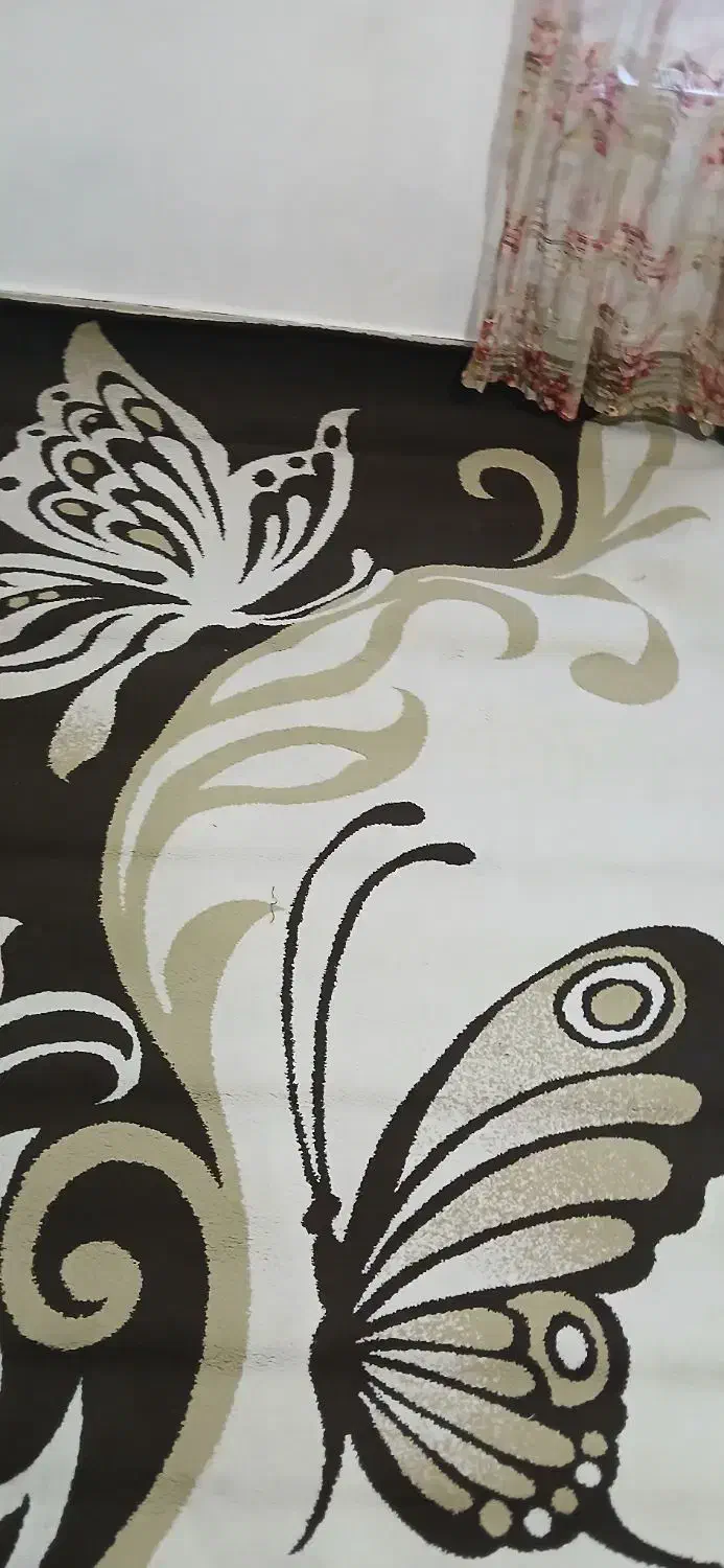 فرش ۶متری|فرش|بیجار, |دیوار