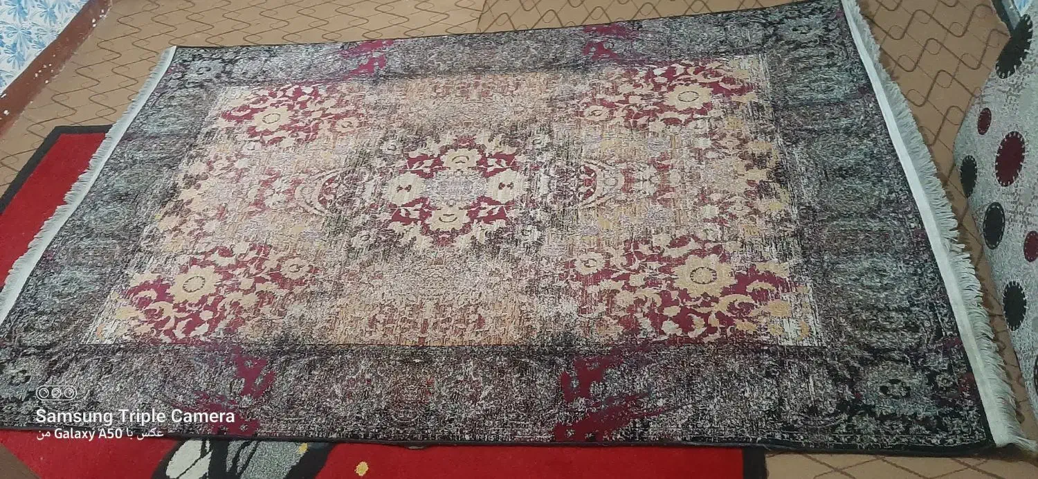 قالی ۴متری|فرش|مسجد سلیمان, |دیوار