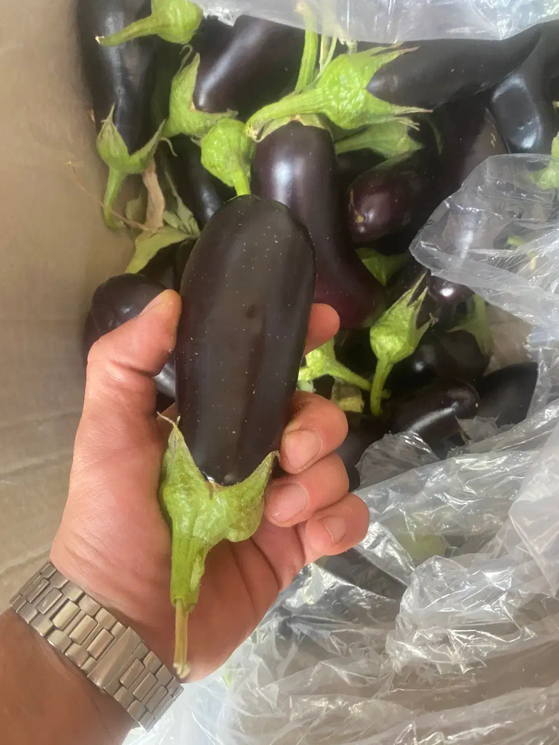 بادمجان پوست گرفته شده|خوردنی و آشامیدنی|تهران, اتابک|دیوار