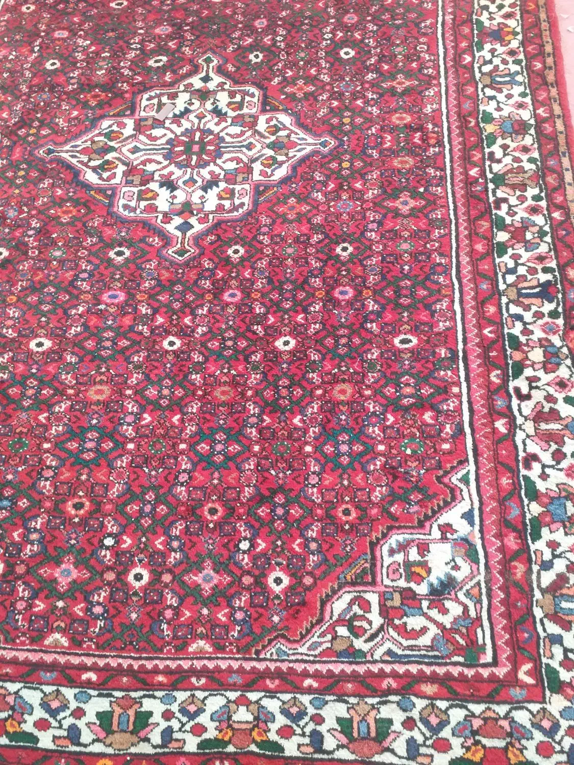 فرش دستبافت|فرش|همدان, |دیوار