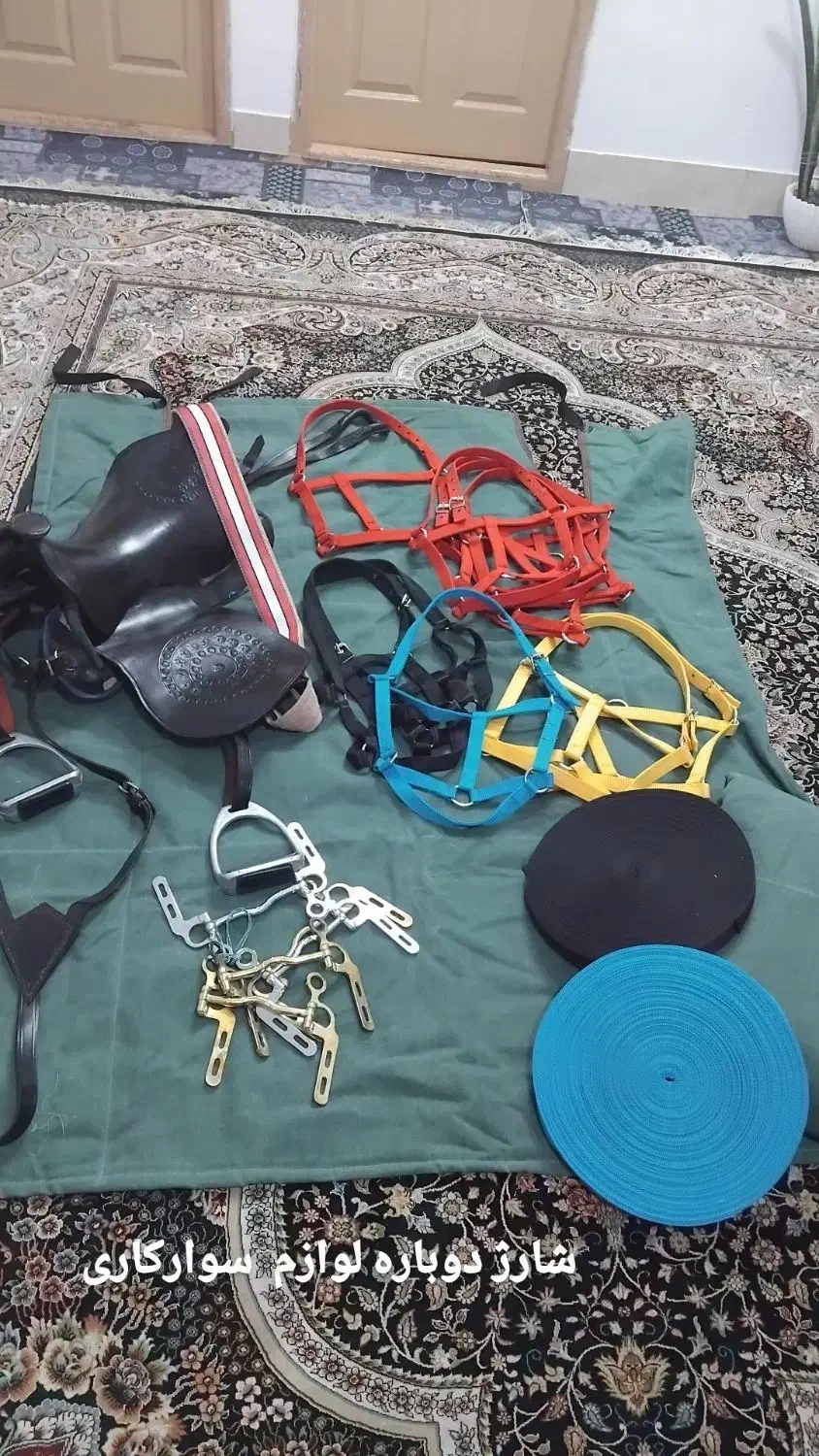 لوازم سوارکاری|اسب و تجهیزات اسب‌سواری|گرگان, |دیوار