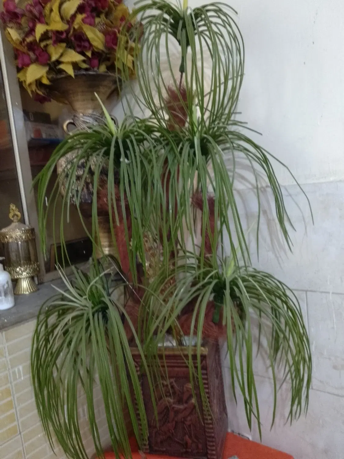 گل مصنوعی|گل مصنوعی|اصفهان, ناصرخسرو|دیوار