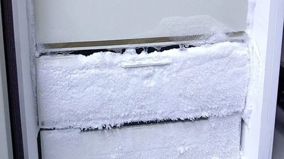 تعمیرات یخچال نواردریخچال وتعمیربرفک زدن،سیار|خدمات پیشه و مهارت|شوشتر, |دیوار