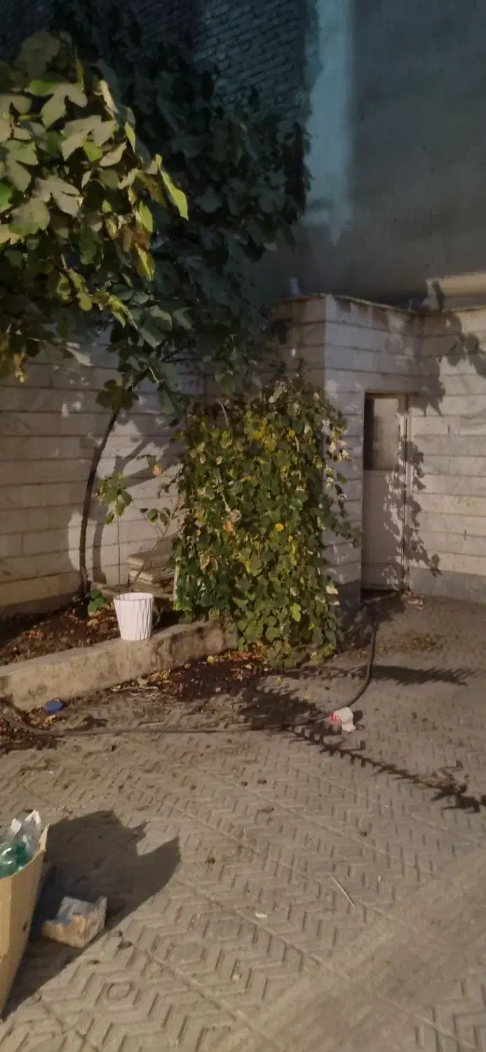 ویلایی در افسریه|اجارهٔ خانه و ویلا|تهران, افسریه شمالی|دیوار