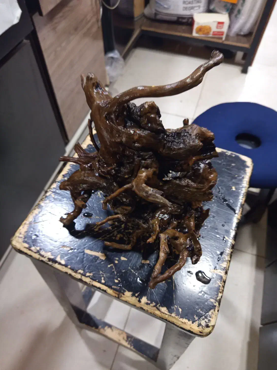 چوب آبنوس|ماهی|اهواز, کمپلو جنوبی|دیوار