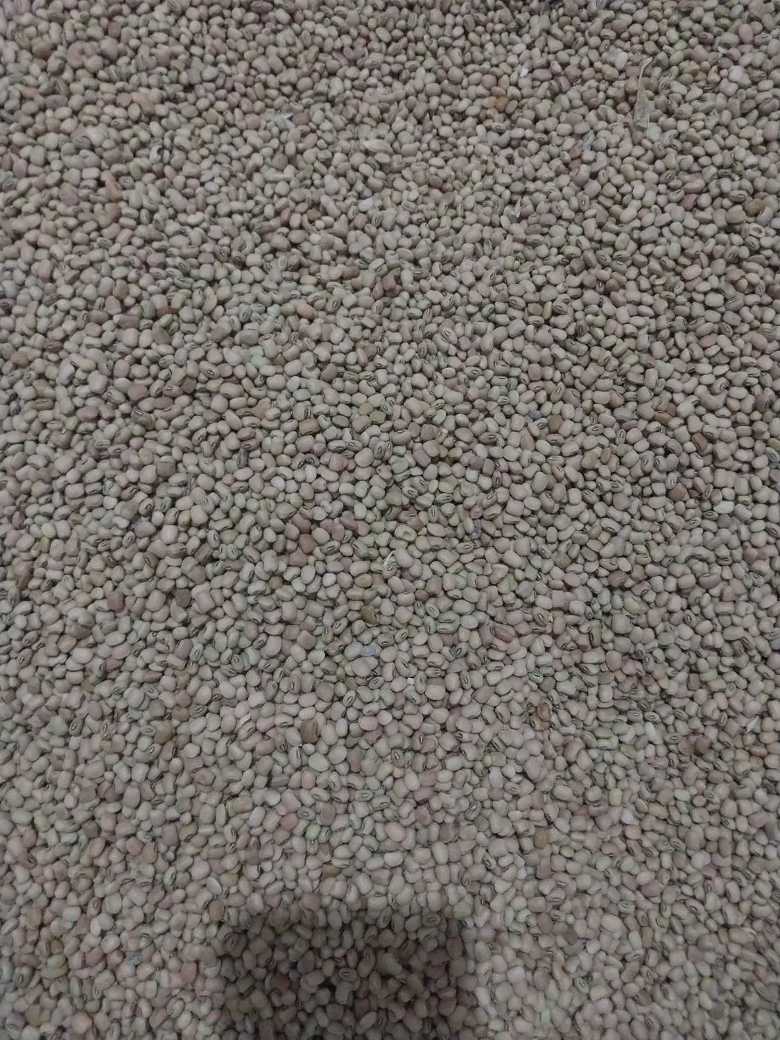 لوبیا ریز آشی|خوردنی و آشامیدنی|دره شهر, |دیوار