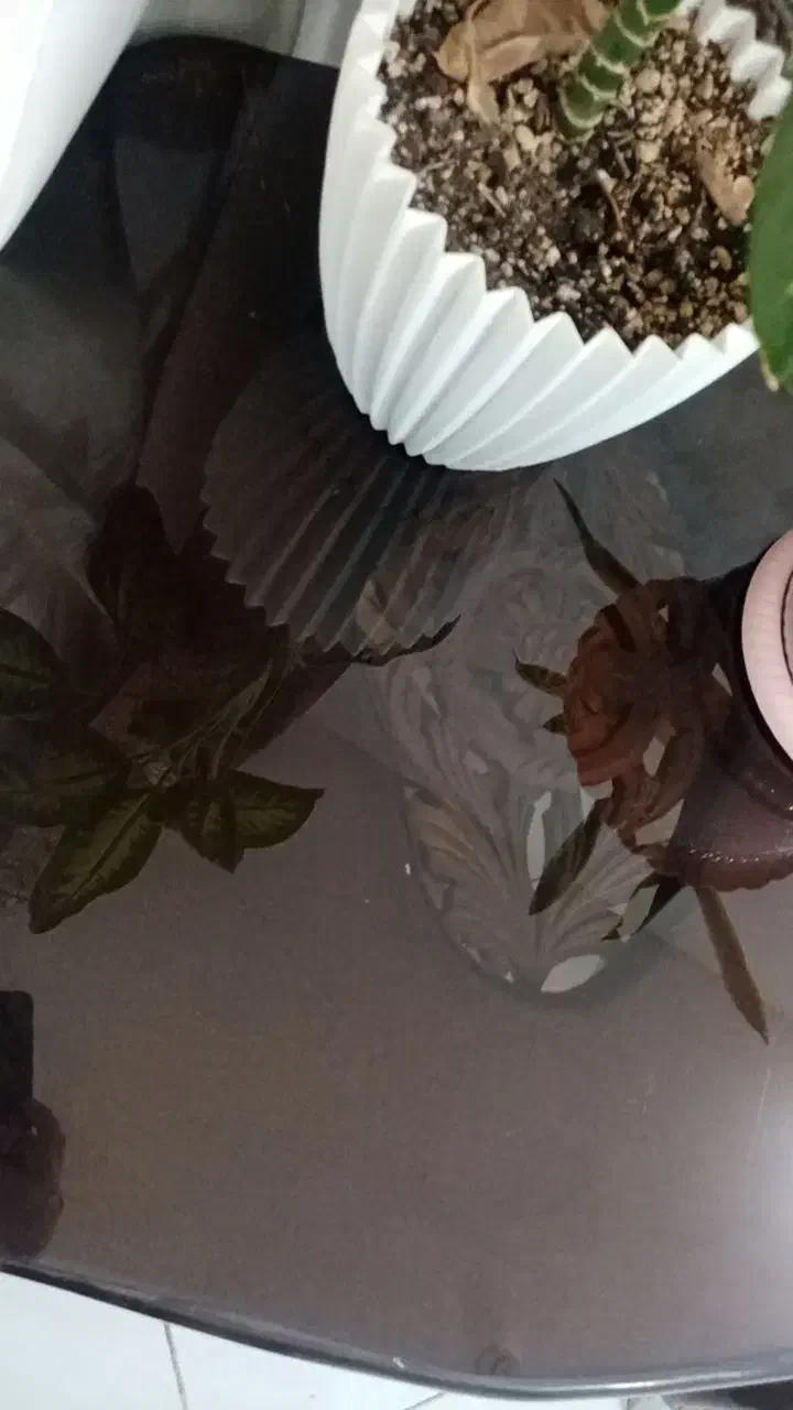 میز جلو مبلی|مبلمان خانگی و میز عسلی|گلبهار, شهر جدید گلبهار|دیوار