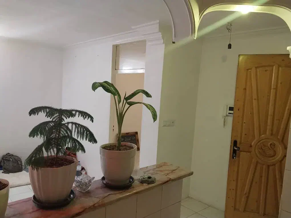 واحد ۶۰ متری همکف|فروش آپارتمان|تهران, شمیران‌نو|دیوار