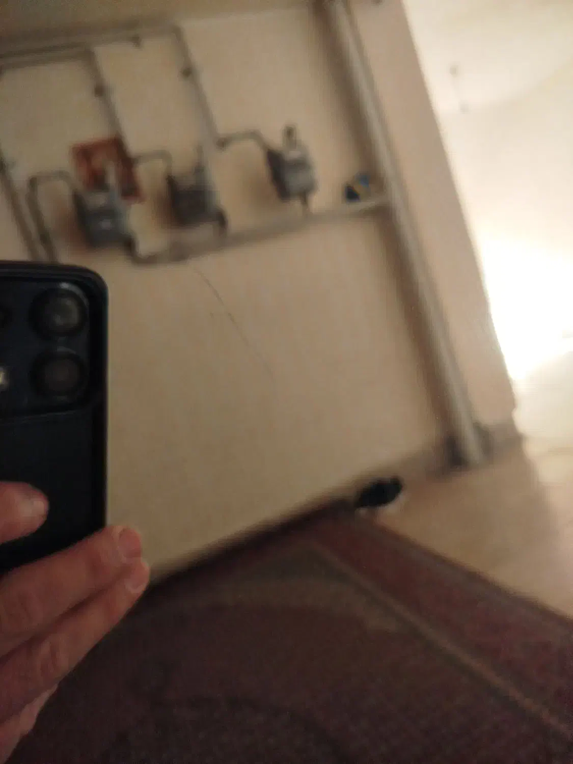 آینه قدی|آینه|اردبیل, |دیوار