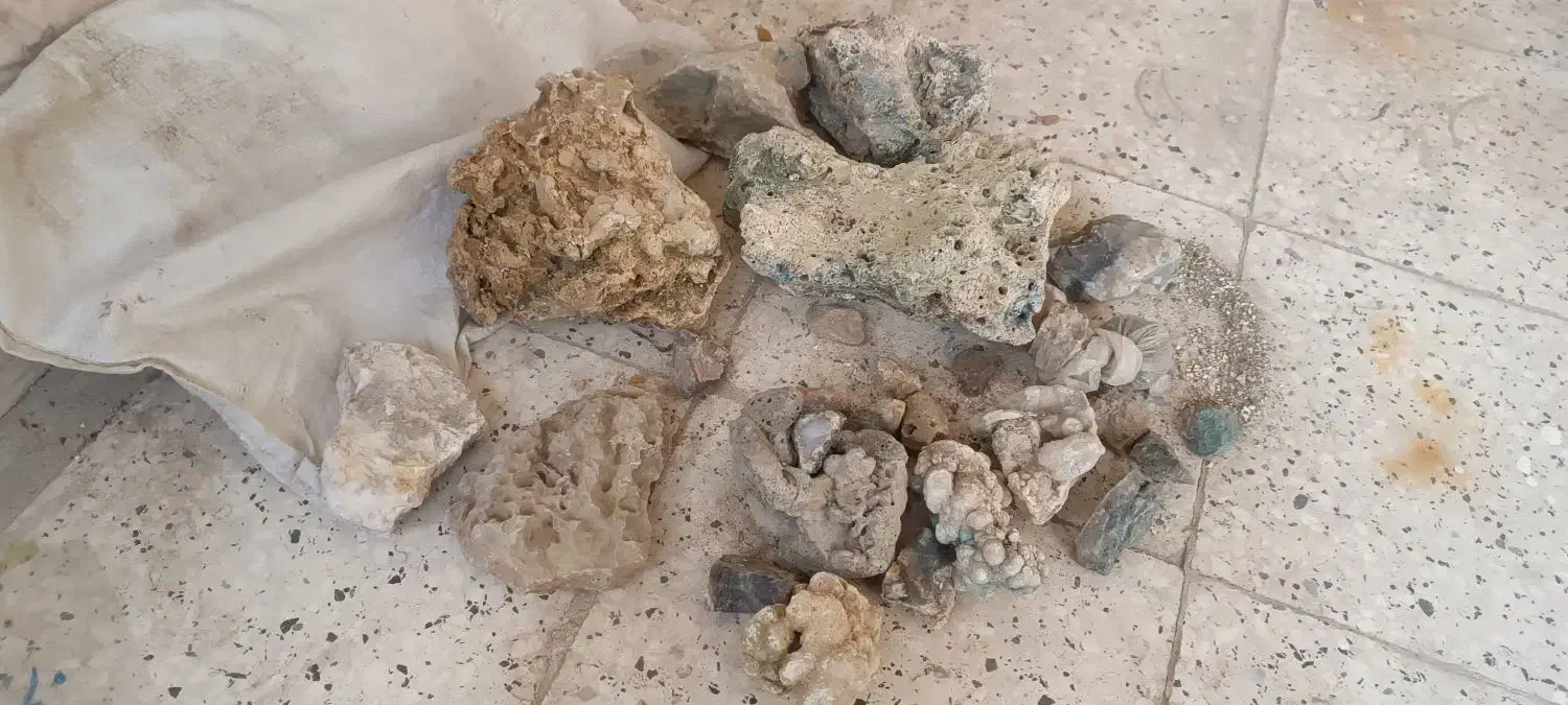 سنگ آکواریوم یک کیسه|ماهی|تربت‌حیدریه, بهزیستی|دیوار