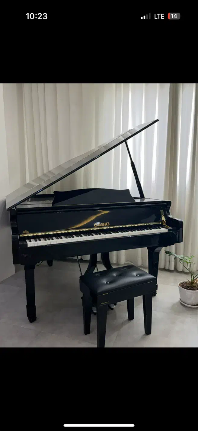 پیانو گرند مدل کاسیو|پیانو، کیبورد، آکاردئون|بوشهر, |دیوار