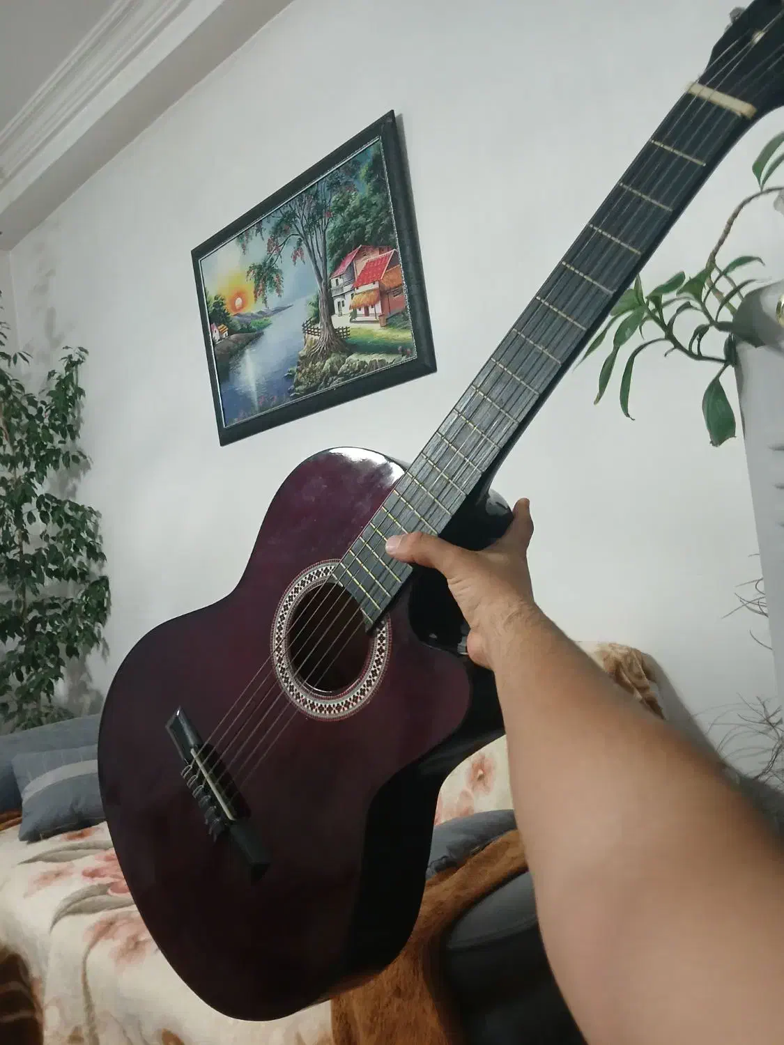 گیتار دایموند|گیتار، بیس، امپلیفایر|تبریز, |دیوار