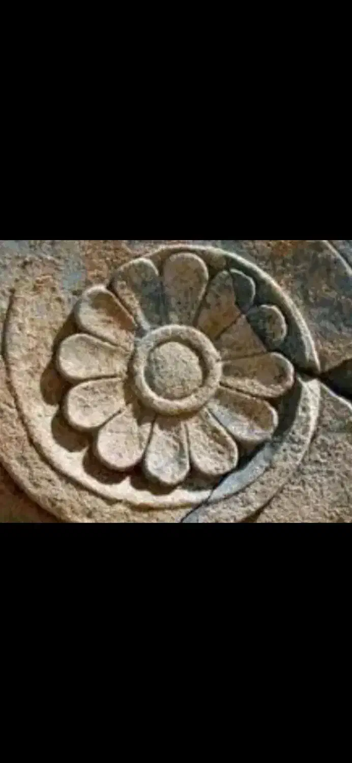 ۲ عدد سیم کارت همراه اول رند|سیمکارت|شیراز, هفت تنان|دیوار