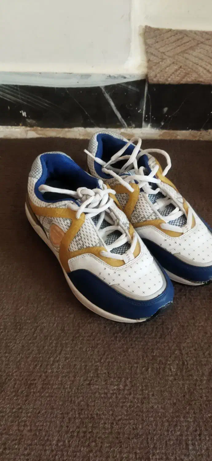 ورزشی کفشهای مارک آدیداس ارسلونا همگی جفتی ۲۰۰|تجهیزات ورزشی|شیراز, ریاستی|دیوار