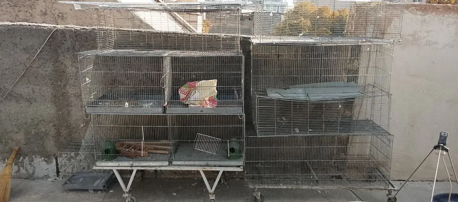 قفس پرو|لوازم جانبی حیوانات|تهران, جوادیه تهرانپارس|دیوار