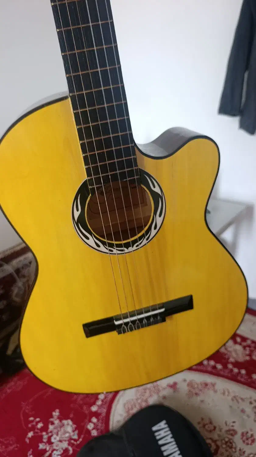 گیتار|گیتار، بیس، امپلیفایر|مریوان, |دیوار