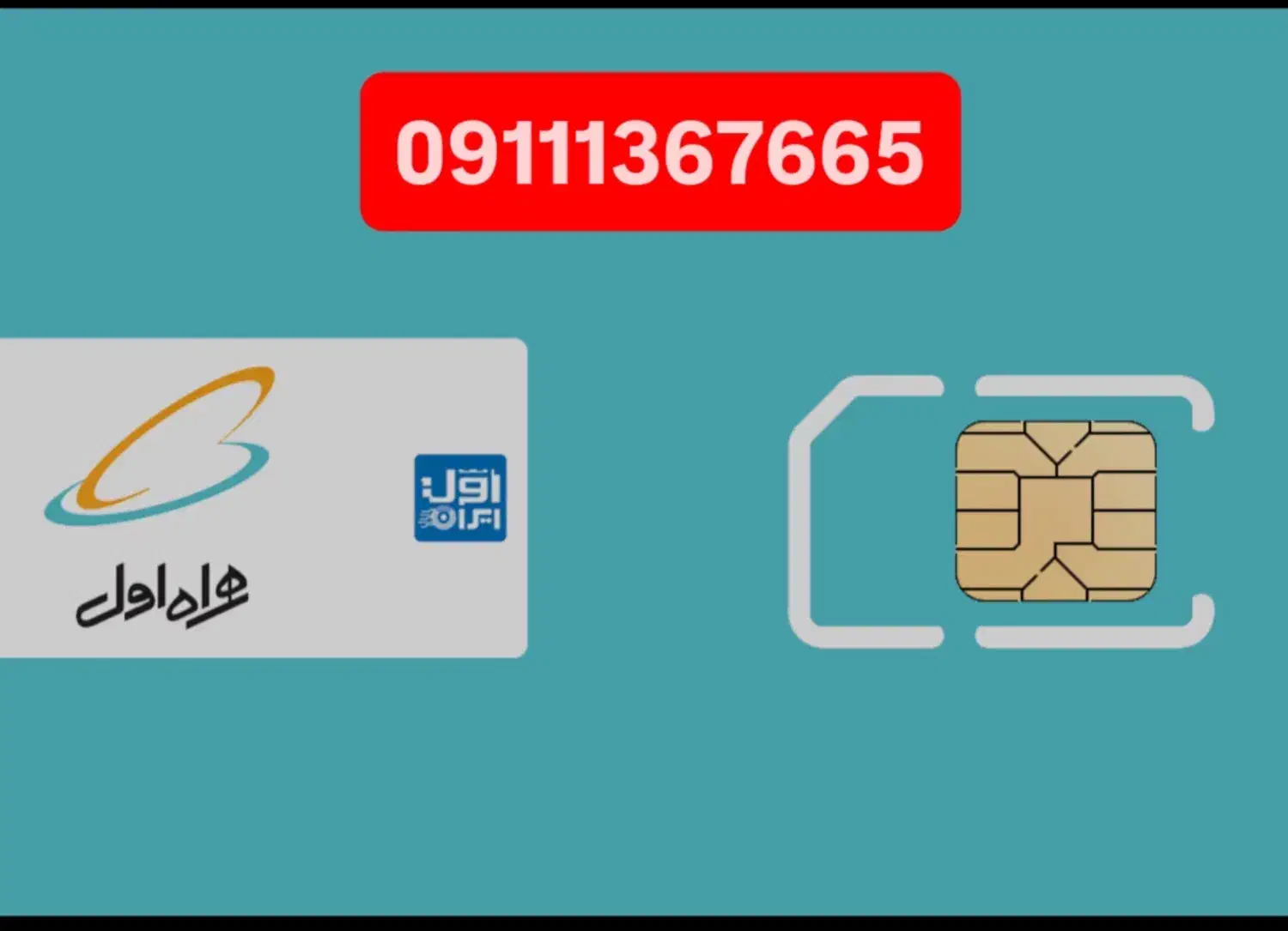۰۹۱۱۱۳۶۷۶۶۵|سیمکارت|رشت, کاکتوس|دیوار