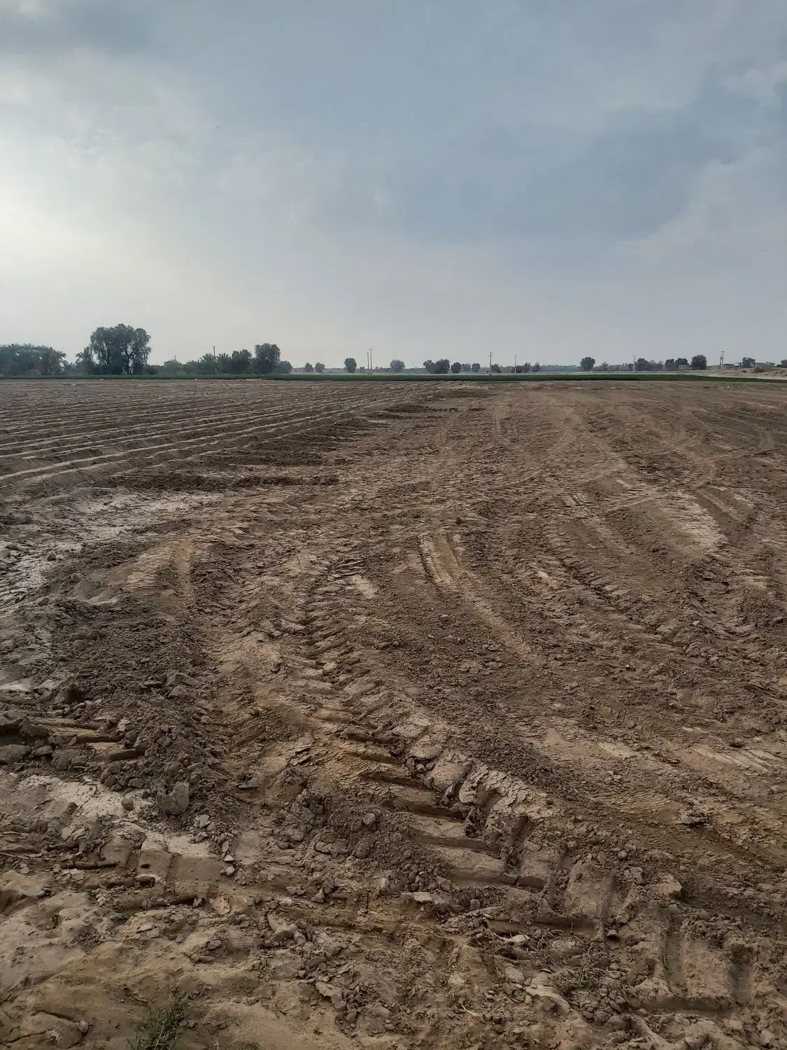 زمین کشاورزی اجاره ای|اجارهٔ دفتر صنعتی، کشاورزی، تجاری|جیرفت, |دیوار