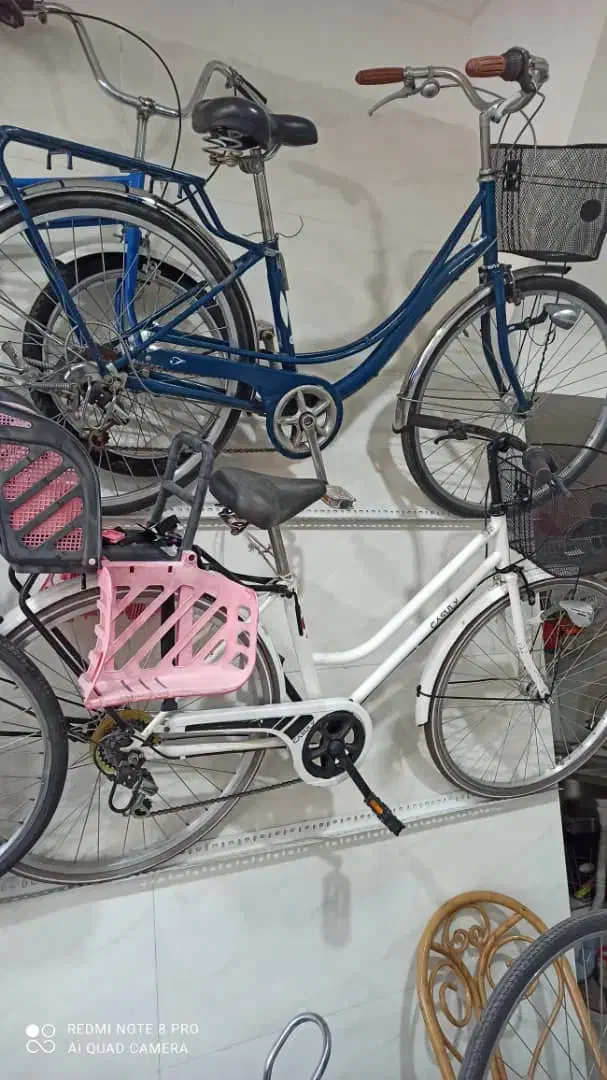 دوچرخه  قدیمی کلکسیونی ژاپنی|دوچرخه، اسکیت، اسکوتر|میاندوآب, |دیوار