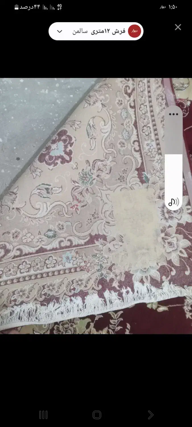 فرش ۱۲متری|فرش|کرمانشاه, |دیوار