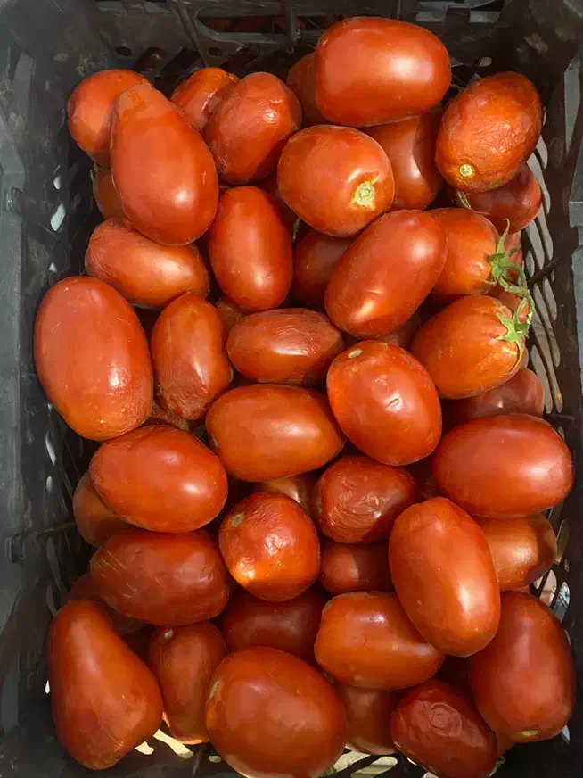 رب گوجه خانگی اعلا|خوردنی و آشامیدنی|قم, انسجام|دیوار