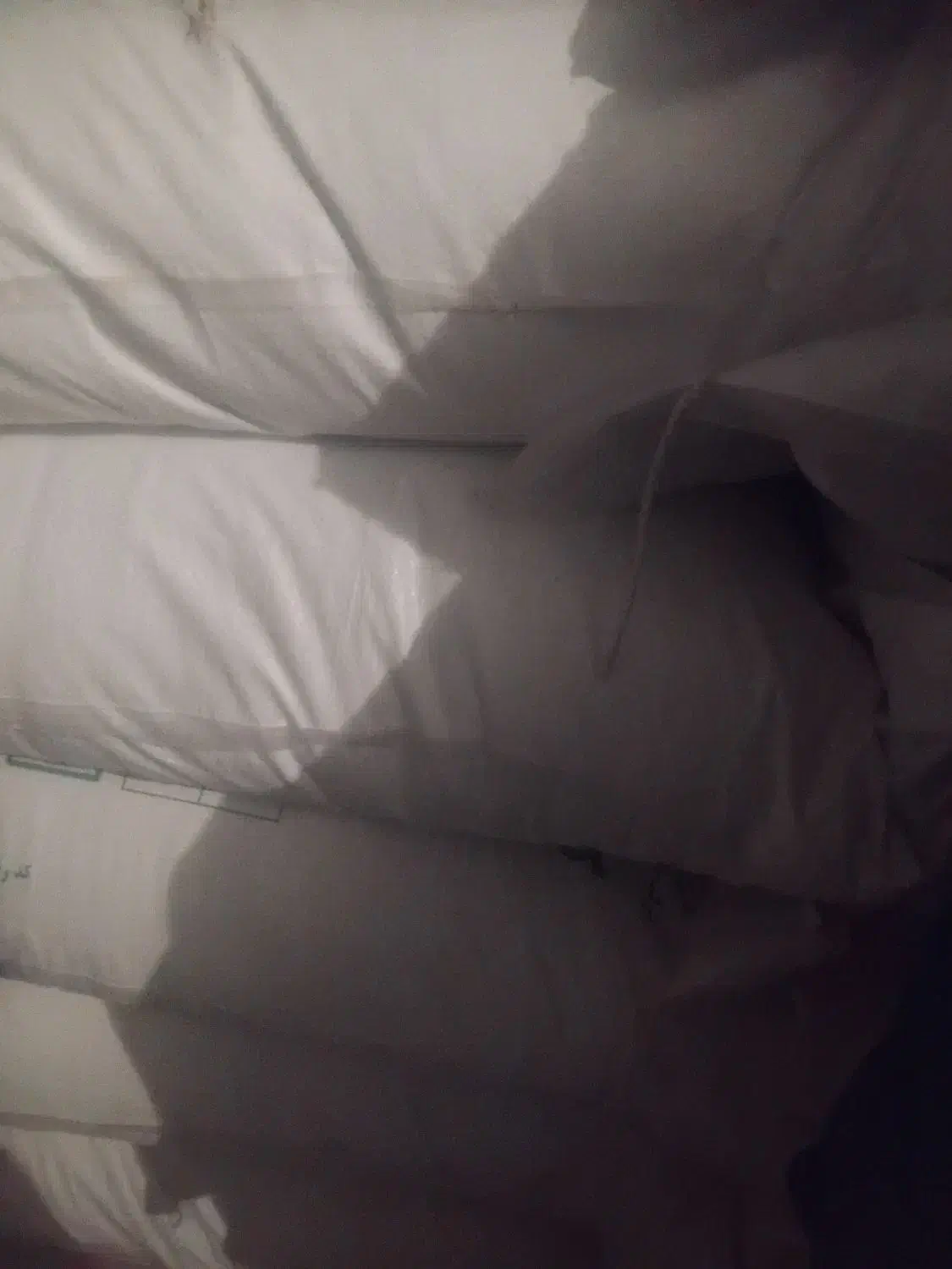 کودشیمیایی سفید|گل و گیاه طبیعی|ملایر, |دیوار