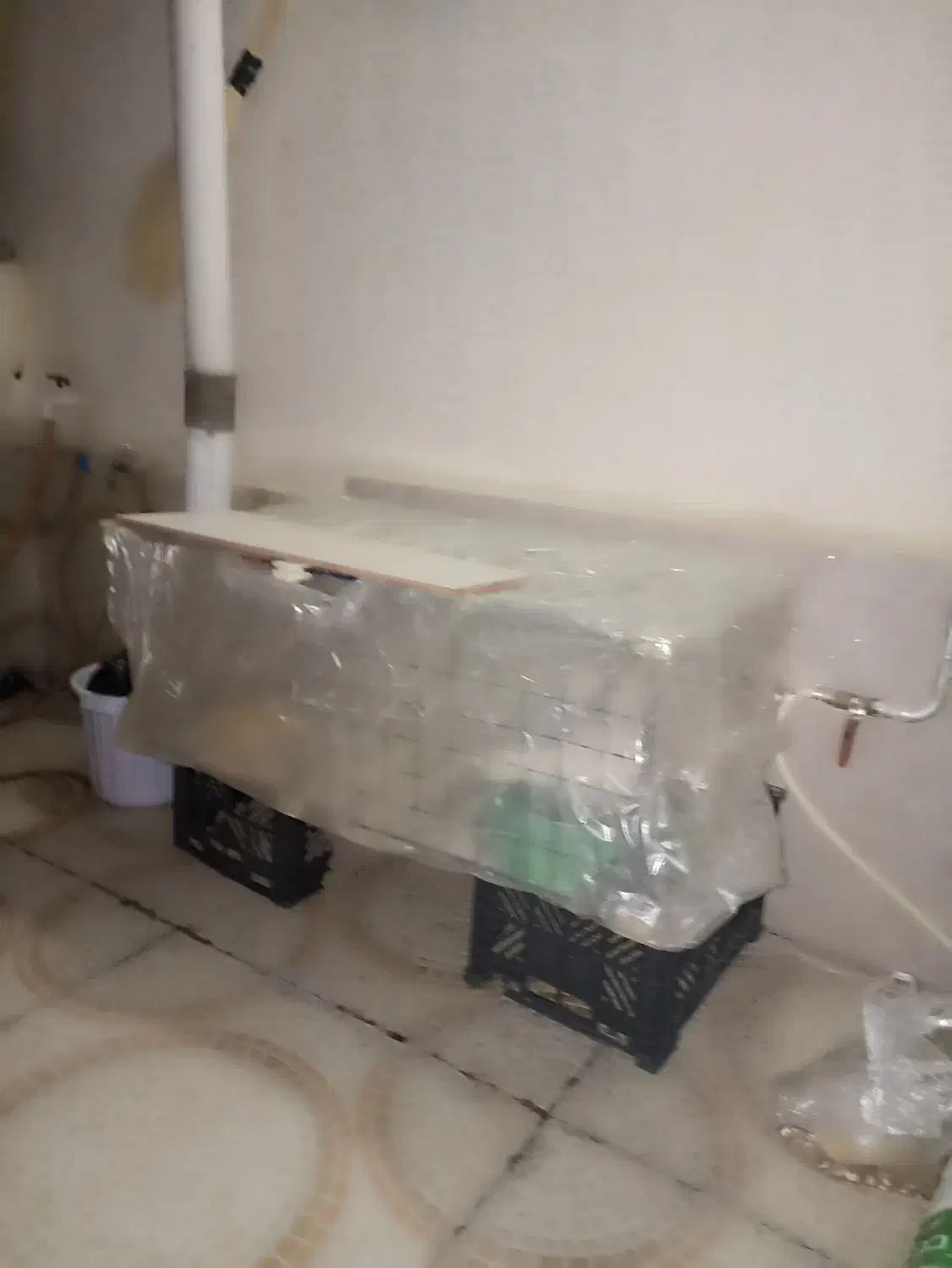 دو کبوتر طوق بایک قفسه 1 متری|پرنده|مریوان, |دیوار