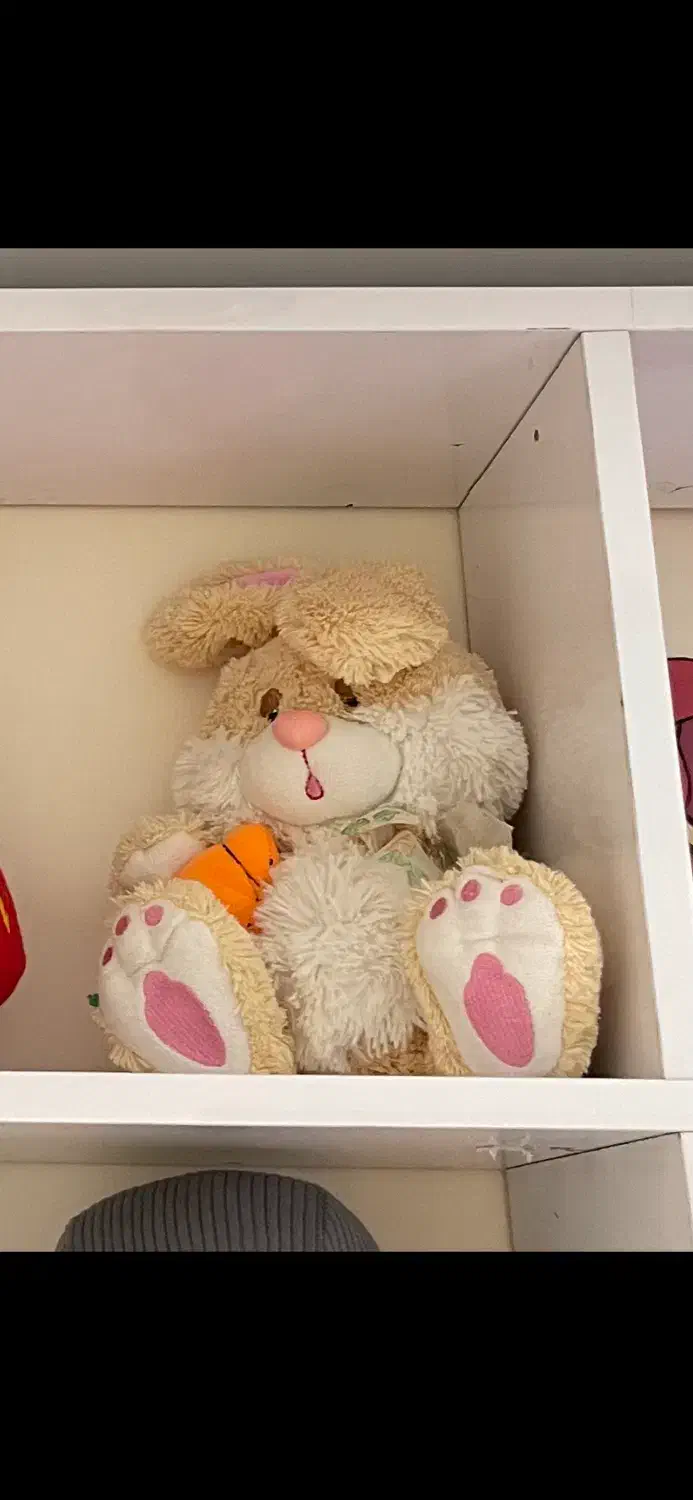 چند مدل عروسک|اسباب‌بازی بچه|رشت, کوی مهر|دیوار