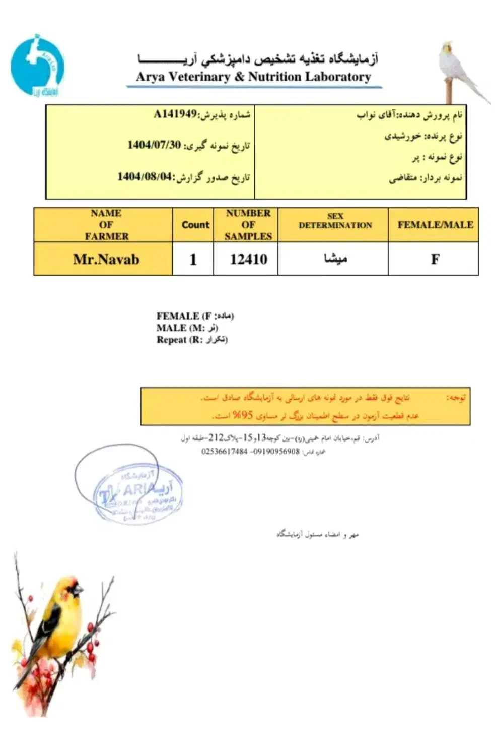 طوطی خورشیدی ماده|پرنده|قم, علی آباد سعدگان|دیوار