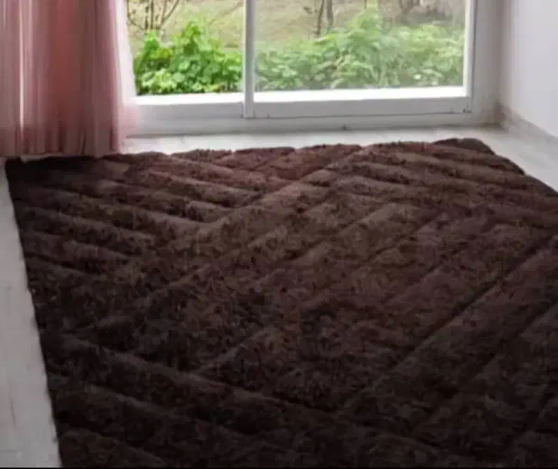 فرش۶ متری پرز بلند|فرش|رشت, حومه رشت|دیوار