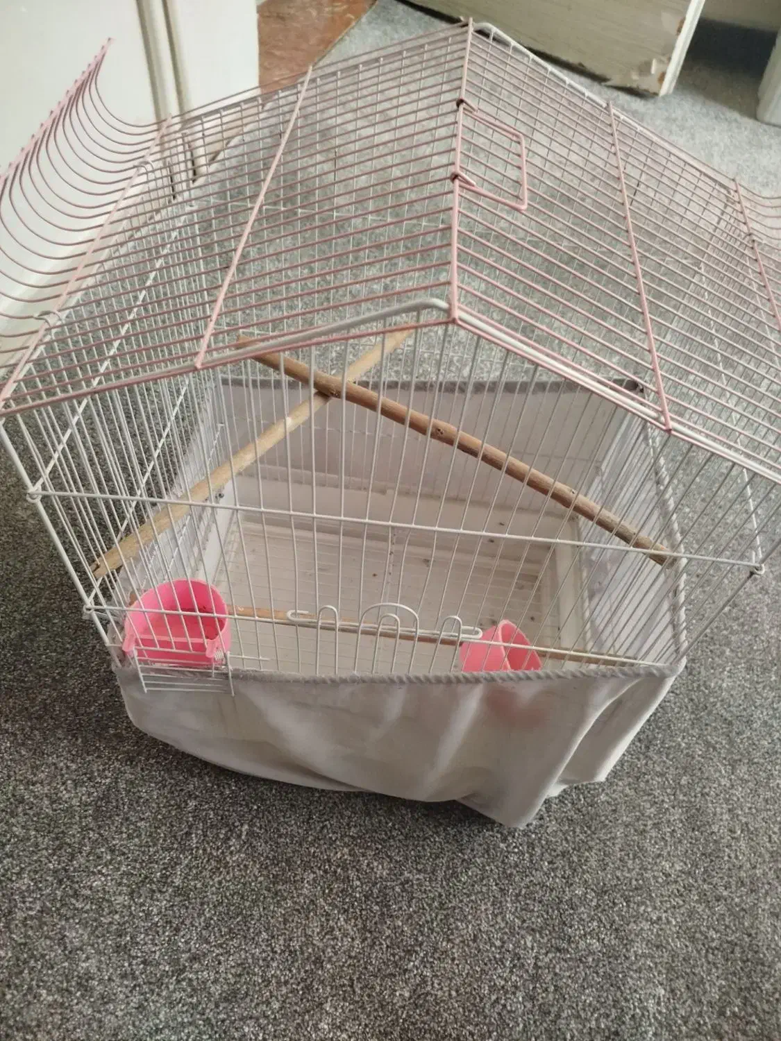 عروس هلندی با قفس|پرنده|ری, شهید غیوری (ابن باویه)|دیوار