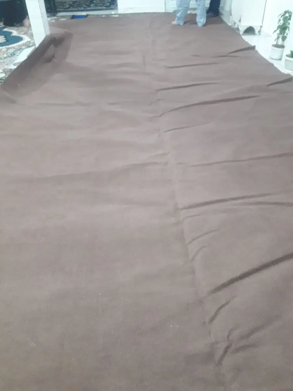 موکت تمیزو سالم|موکت|دورود, |دیوار