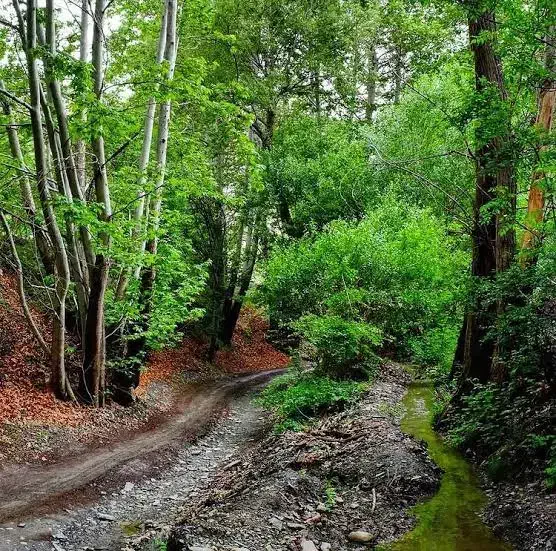 راهنمایی|گردهمایی و همایش|مشهد, هفت تیر (حافظ)|دیوار