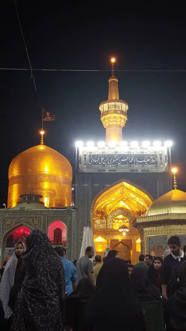 فردا حرکت مشهد مقدس|تور و چارتر|بندرعباس, |دیوار