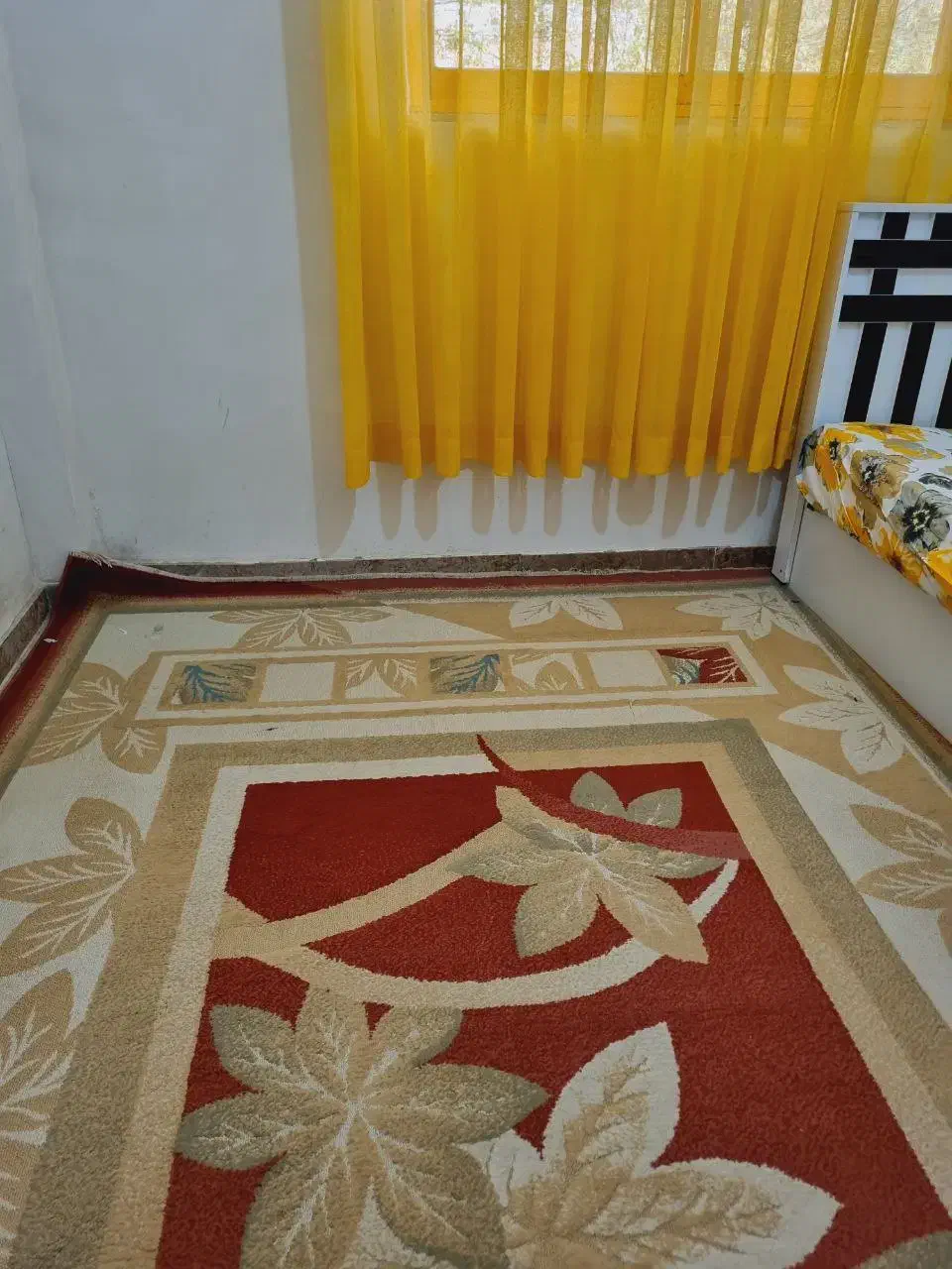 گلیم فرش ۶ متری|گلیم، جاجیم، گبه|رشت, فلسطین|دیوار