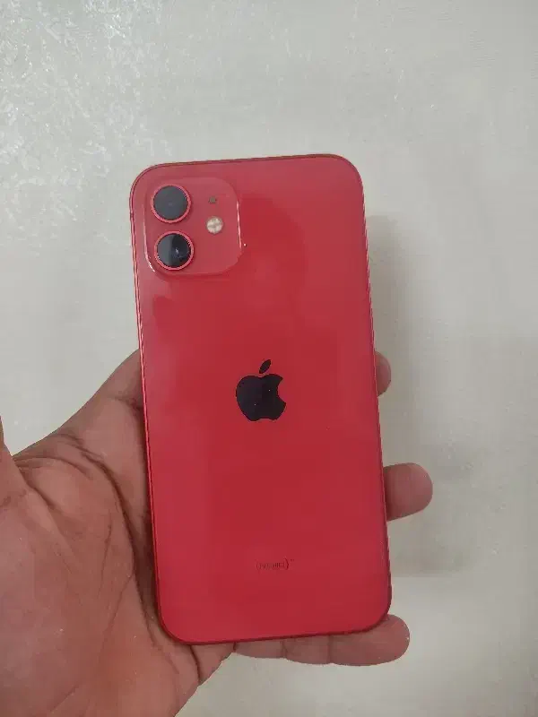 ایفون ۱۲نرمال ja|موبایل|رشت, کوی امام رضا|دیوار