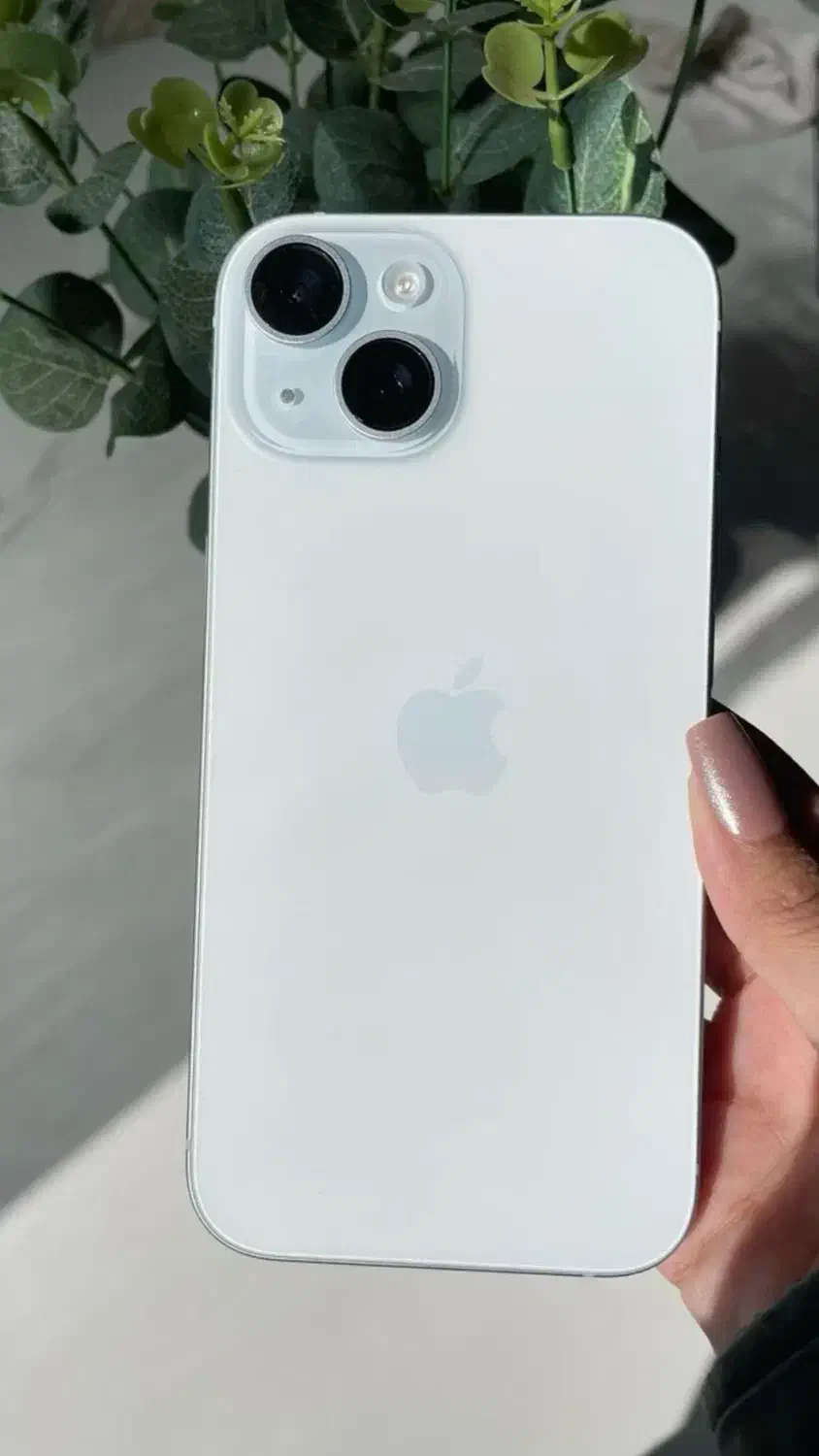 iphone 15|موبایل|شیراز, قصرالدشت|دیوار
