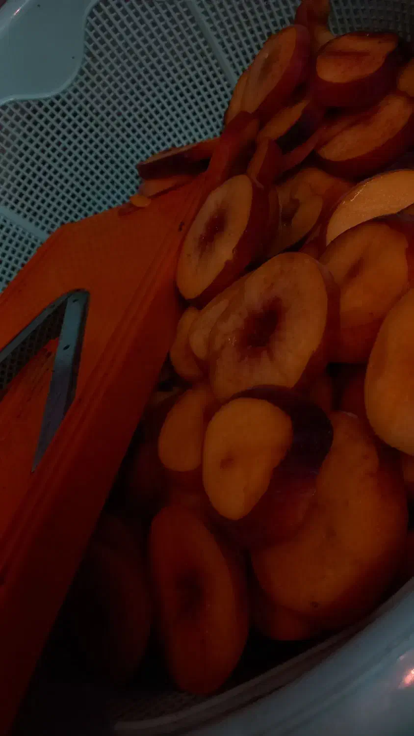 دستگاه میوه خشک|ماشین‌آلات صنعتی|نگین شهر, |دیوار