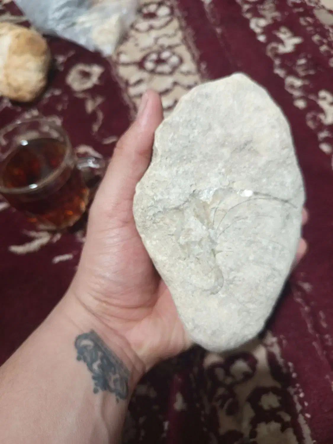 سنگ فسیل|کلکسیون اشیاء عتیقه|بندر کنگان, |دیوار