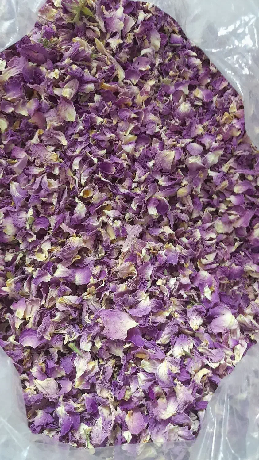 گلپر . گل محمدی|خوردنی و آشامیدنی|سرپل ذهاب, |دیوار