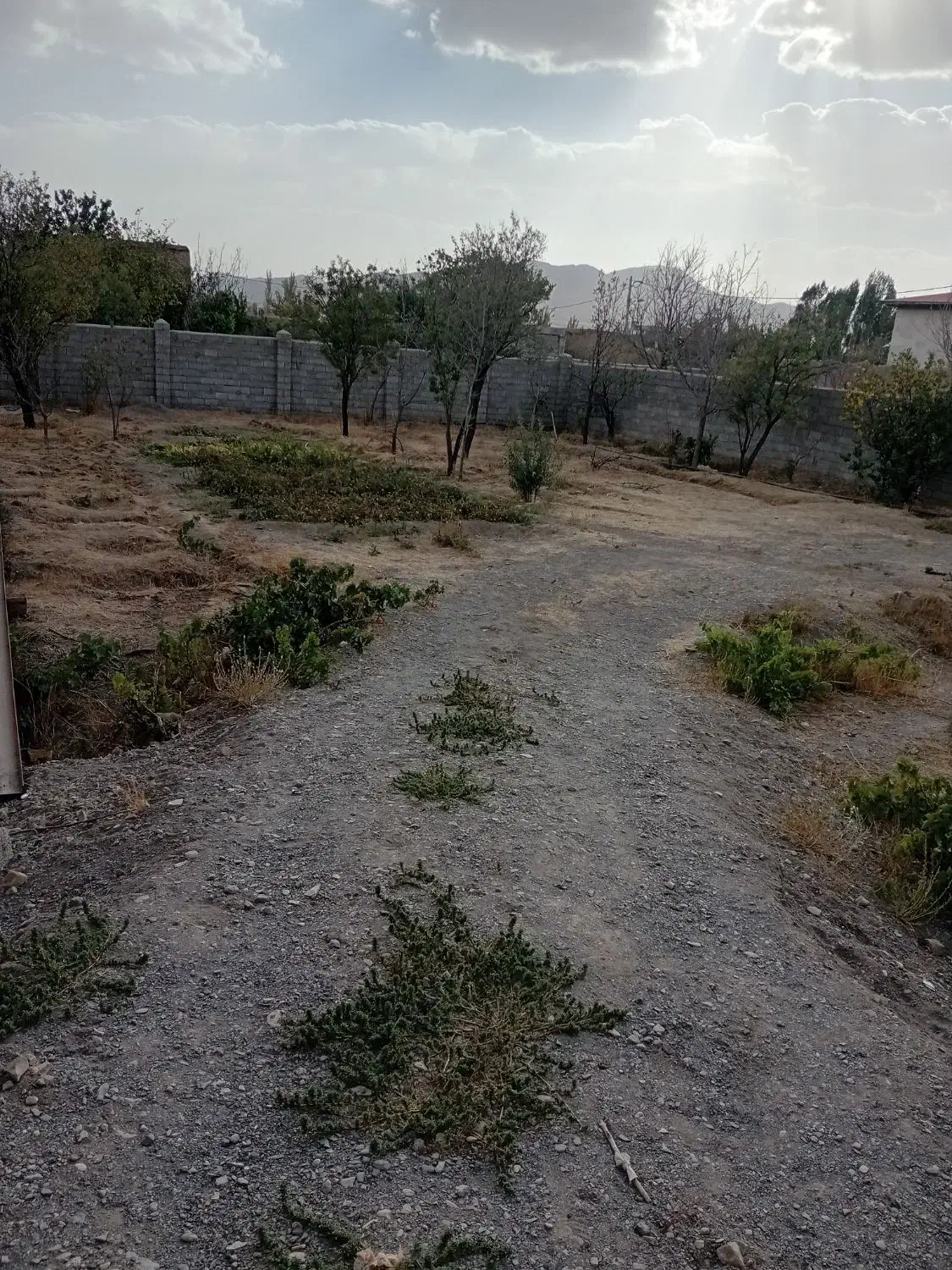 نوبران.زمین مسکونی روستای مقصودآباد|فروش زمین و ملک کلنگی|نوبران, |دیوار