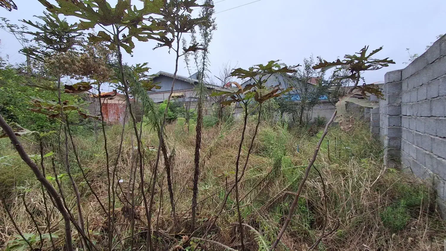 فروش زمین مسکونی ۴۱۰ متری سند تک برگ دور دیوار|فروش زمین و ملک کلنگی|سنگر, |دیوار