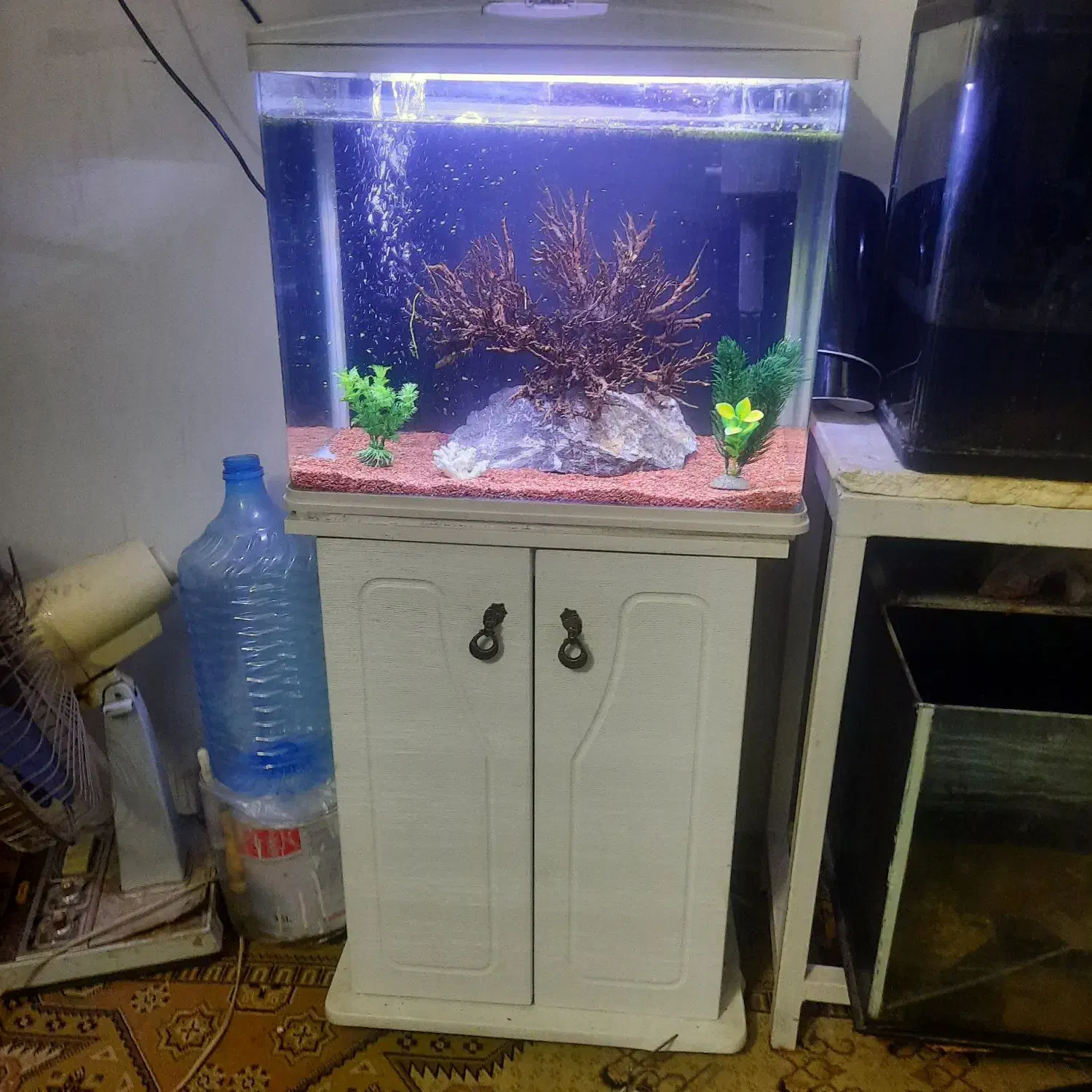 اکواریوم شیشه خم ماهیران همراه بامیز|ماهی|اصفهان, عطار نیشابوری|دیوار