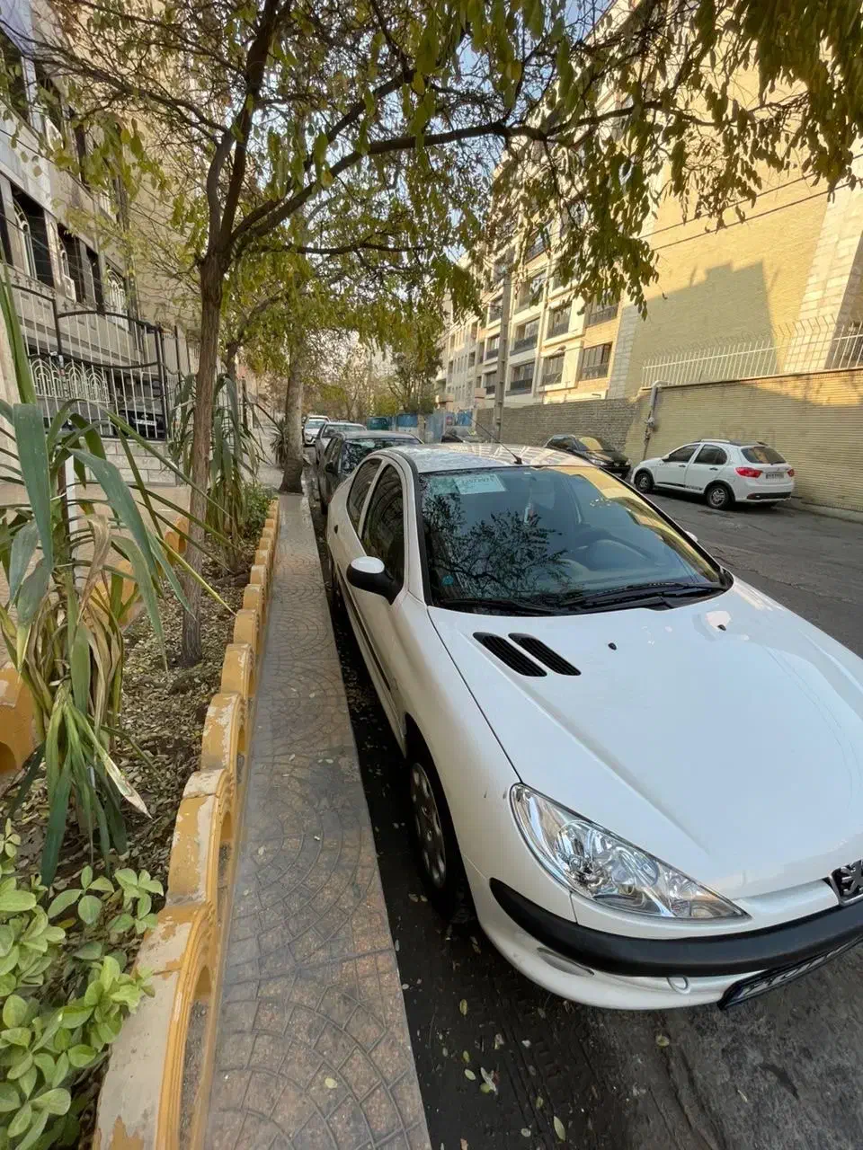 206sd|خودرو سواری و وانت|تهران, فردوس|دیوار