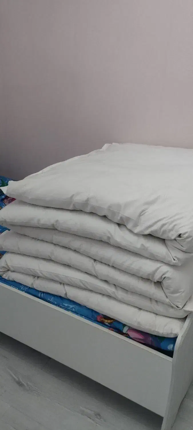 تشک تک نفره پشم گوسفندی|رختخواب، بالش، پتو|ارومیه, |دیوار