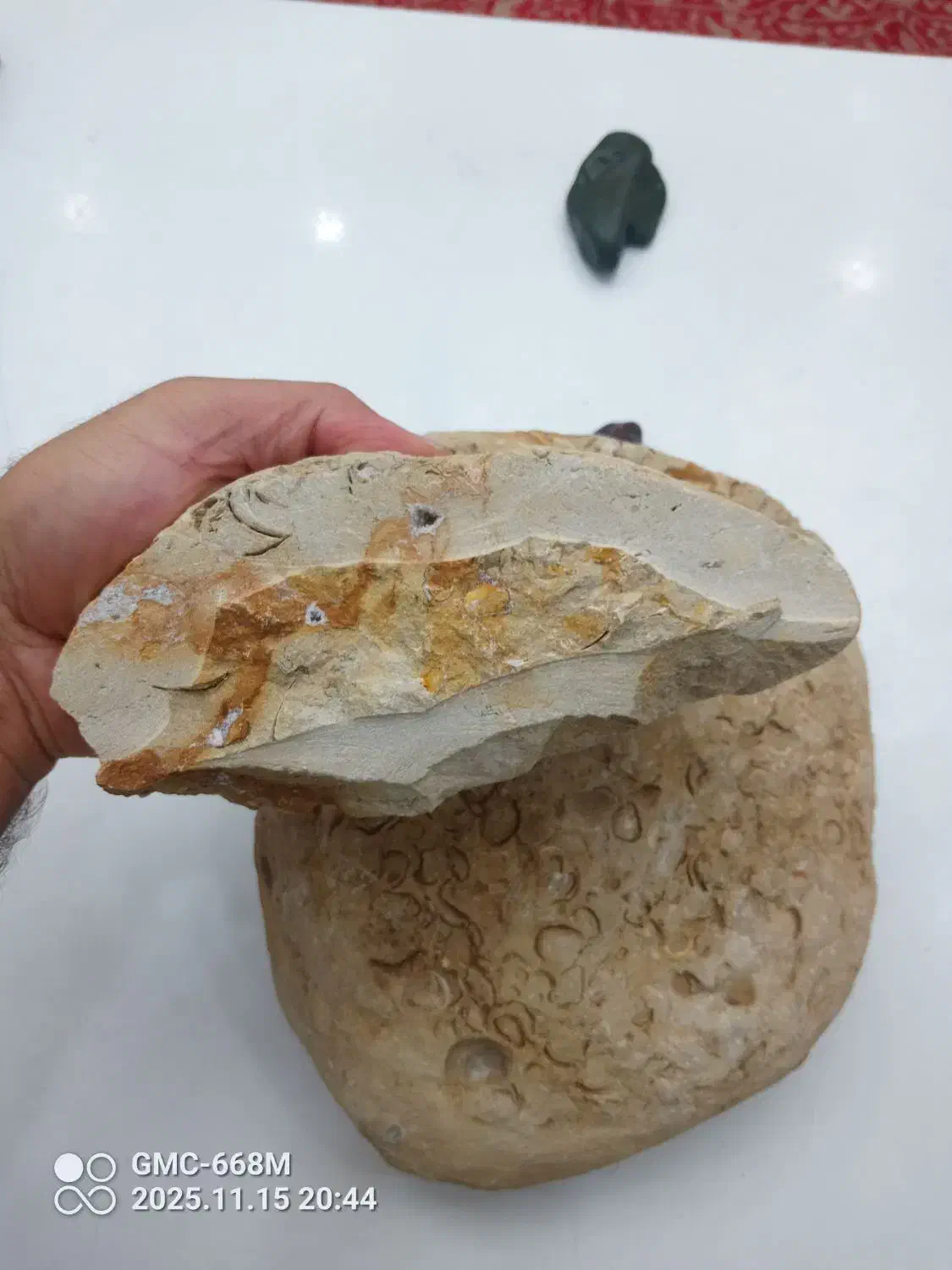 سنگ فسیلی بسیار نادر و قدمتدار|کلکسیون اشیاء عتیقه|چهارباغ, |دیوار