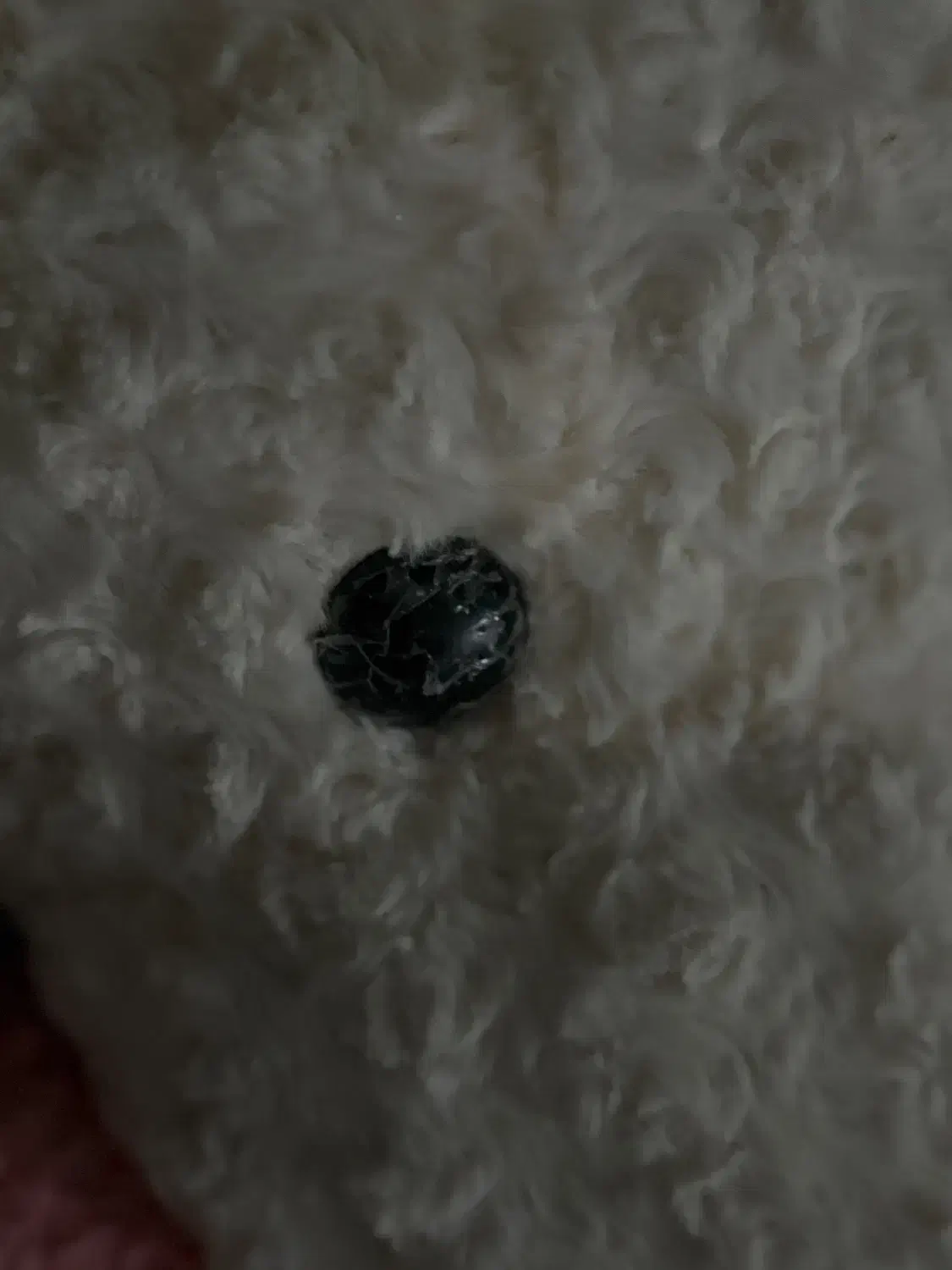 عروسک خرسی بزرگ|اسباببازی بچه|مشهد, ولیعصر (شهرک غرب)|دیوار