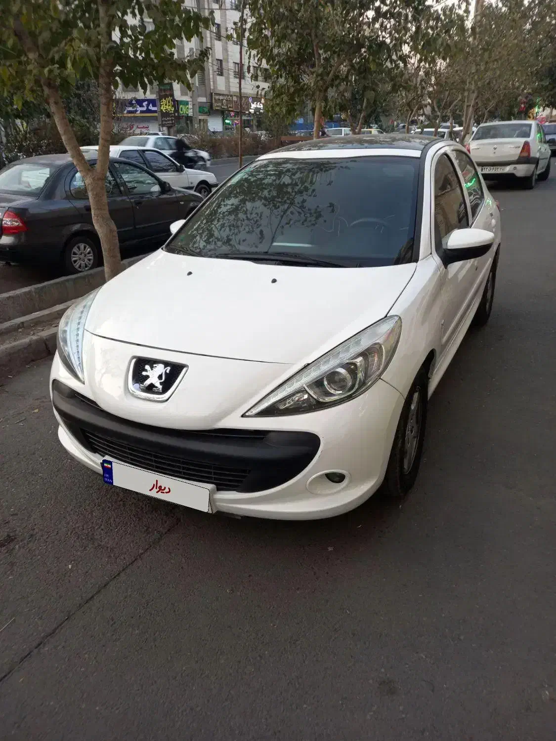 ۲۰۷ پانا مدل ۴۰۳|خودرو سواری و وانت|تهران, تهرانسر شرقی|دیوار