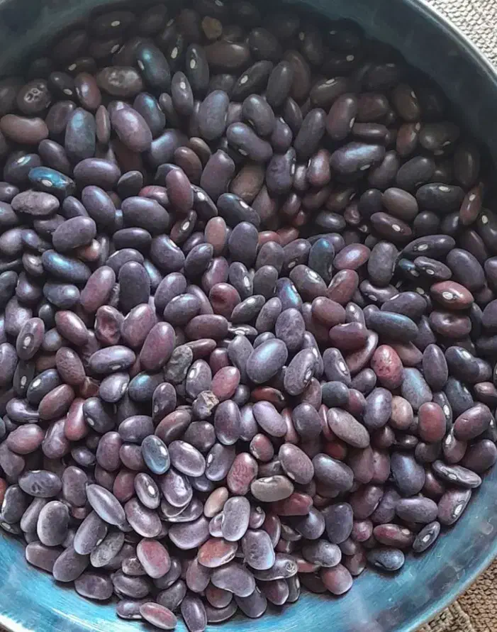 لوبیا قرمز ارگانی|خوردنی و آشامیدنی|اسفرورین, |دیوار