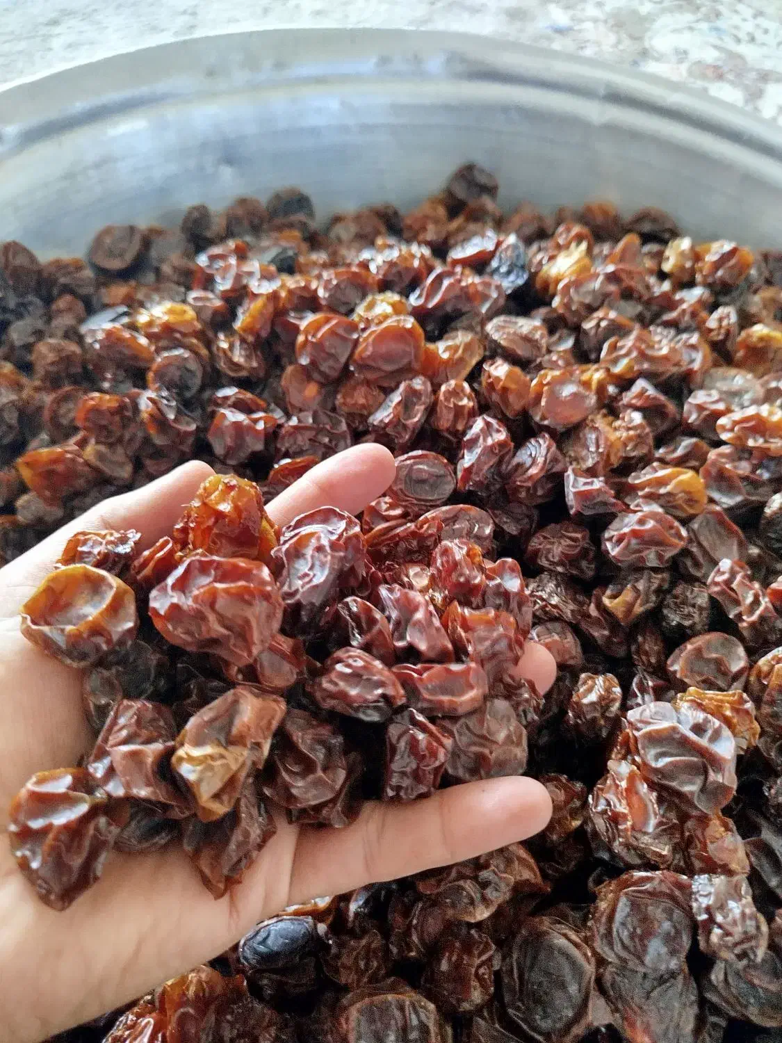 آلو خشک|خوردنی و آشامیدنی|سی‌سخت, |دیوار